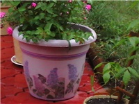 1a093ba2-Picture kamera 605.jpg